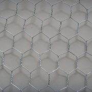 Hexagonal wirenetting4