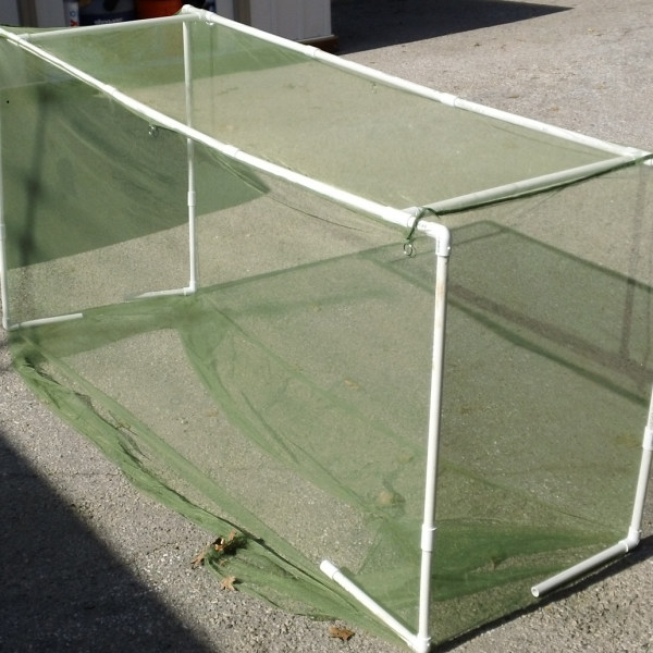 Black SS Mosquito Mesh Wire mesh and wire netting dealer of HINDMESH